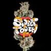 Sweet Tooth Hybrid