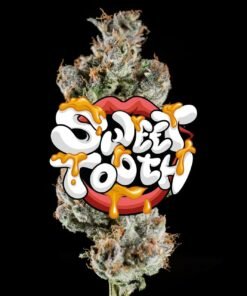 Sweet Tooth Hybrid