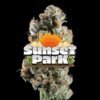 Sunset Park Indica