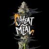 Cheat Meal Sativa