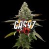 Gas '97 Indica